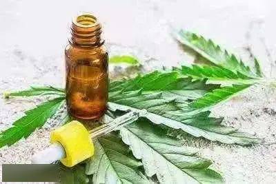 合成大麻素類 在煙草偽裝的背后遠(yuǎn)不止你想象的那么簡(jiǎn)單