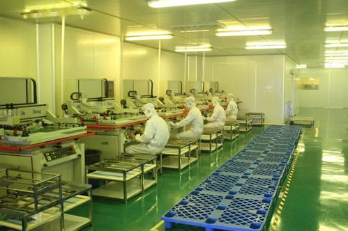 中共湛江市委十一屆十次全會工作報告要點 深化人力資源服務，規范職業中介活動，賦能高質量發展