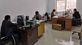 東光縣審計(jì)局職業(yè)中介活動(dòng)專項(xiàng)審計(jì)工作周報(bào)（11.09-11.15）