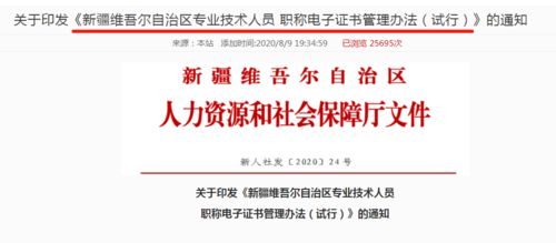 會(huì)計(jì)初級(jí)考生福音 信息技術(shù)咨詢(xún)服務(wù)助力證書(shū)查詢(xún)與打印